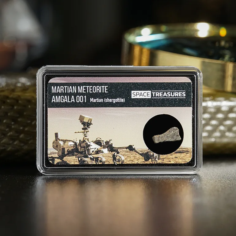 Марсіанський метеорит Sher gottite Amgala 001