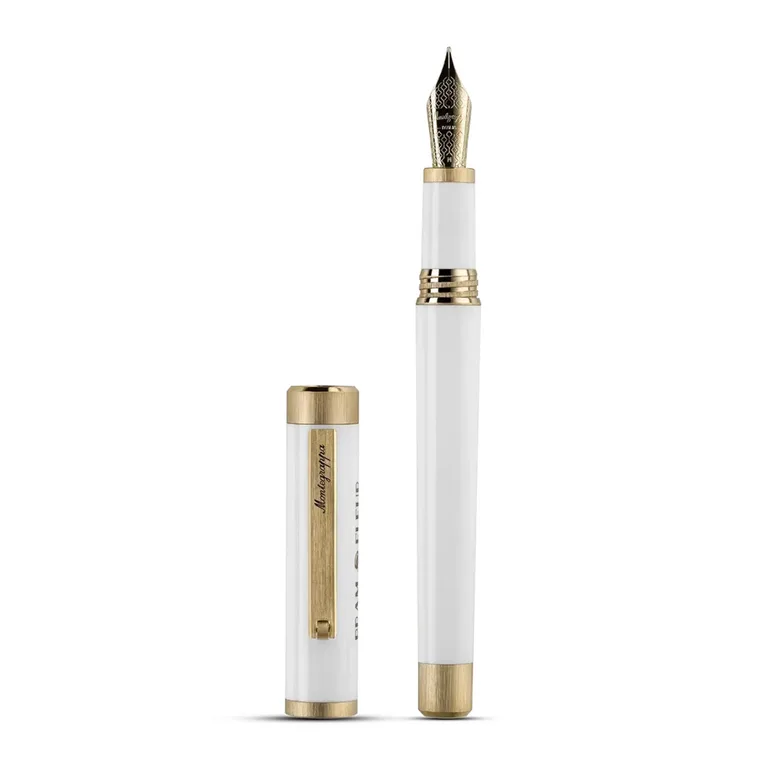 Перьевая ручка Montegrappa Vector из смолы и стали