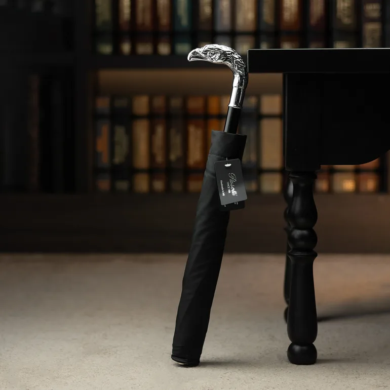 Парасолька Silver Eagle від Pasotti — італійський аксесуар